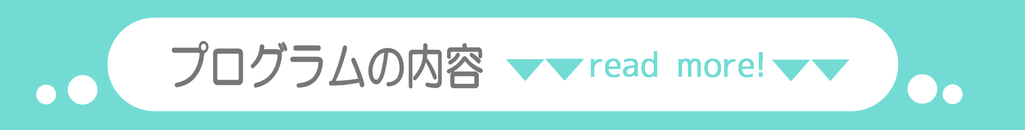 プログラムの内容